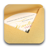 2-Color Stationary and Invitations